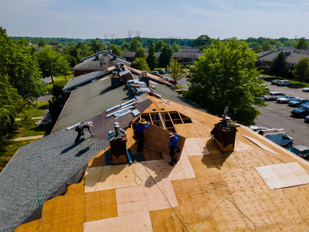 Trusted Roof Replacement service in Farmville, NC - Brentwood Metal Roofing